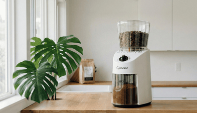 entry level coffee grinder