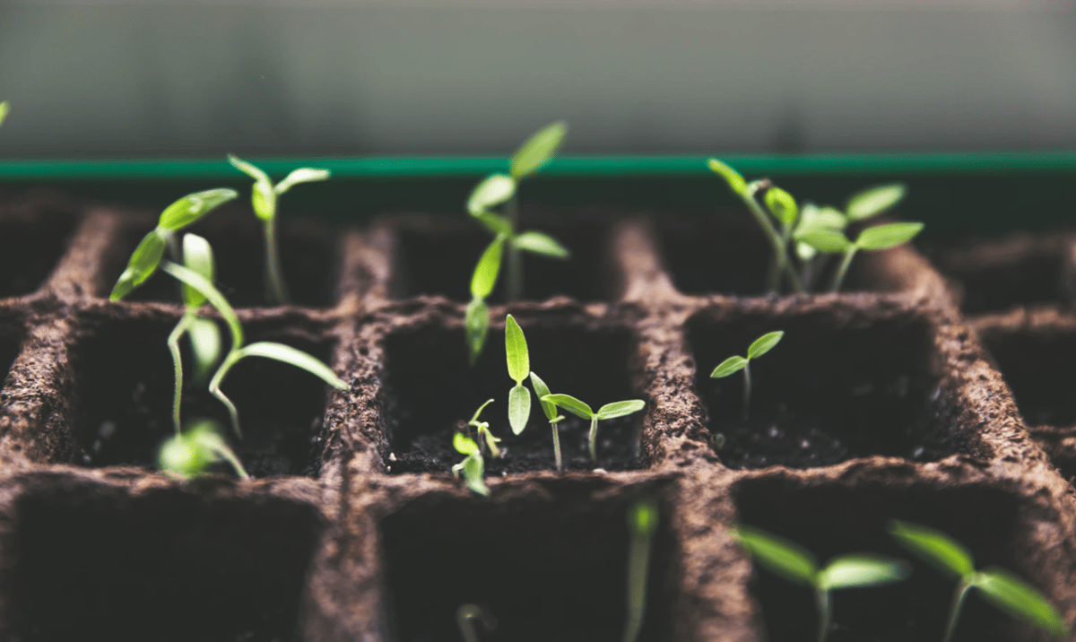 7 Keys That Helped Our Online Communications Grow