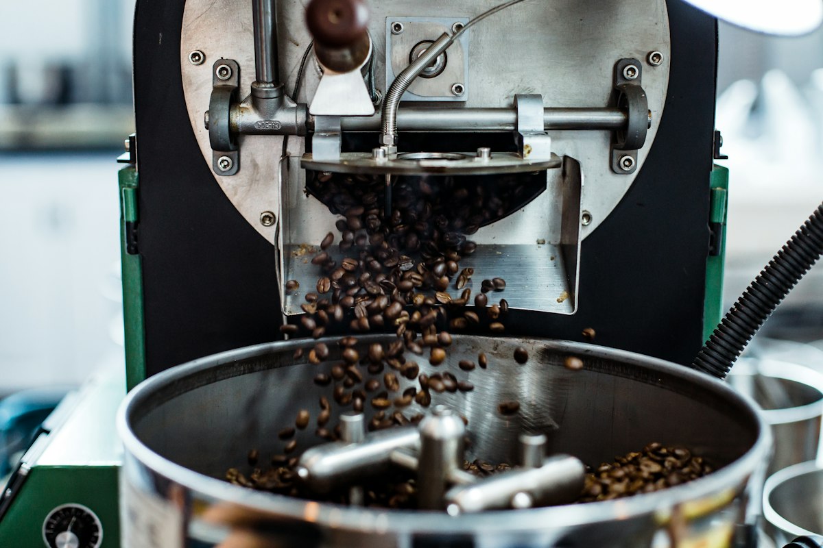 Freshly roasted coffee beans dropping from a drum roaster into the cooling tray