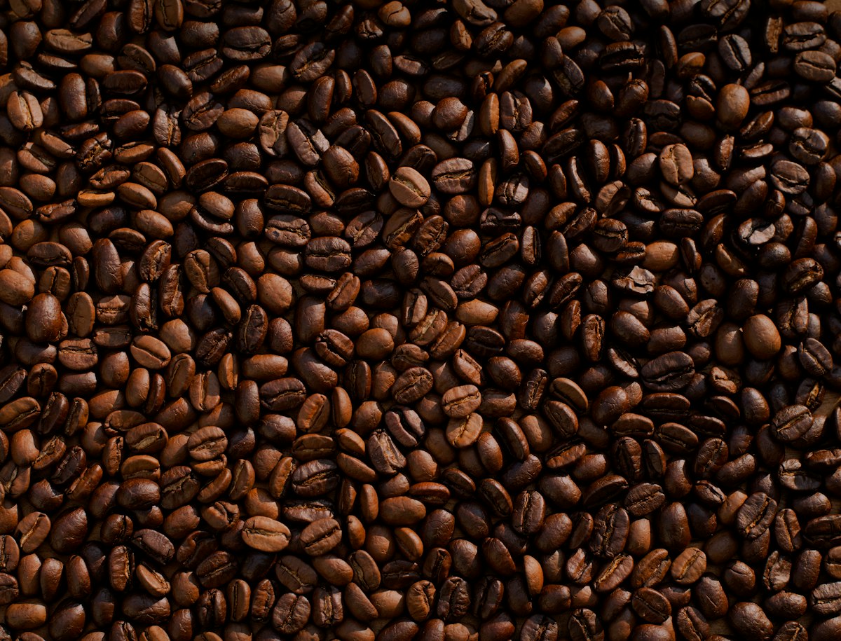 Close-up of roasted Arabica coffee beans in mixed light and medium roast shades