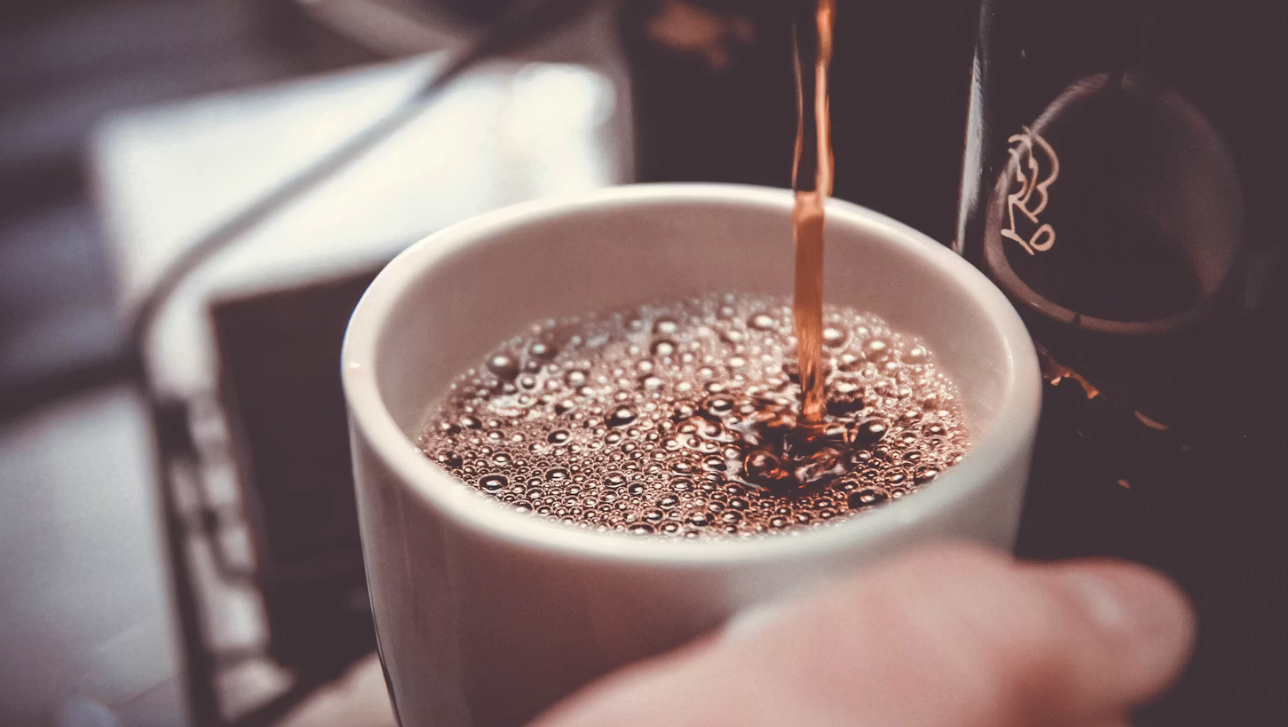 Best 12 Cup Drip Coffee Maker