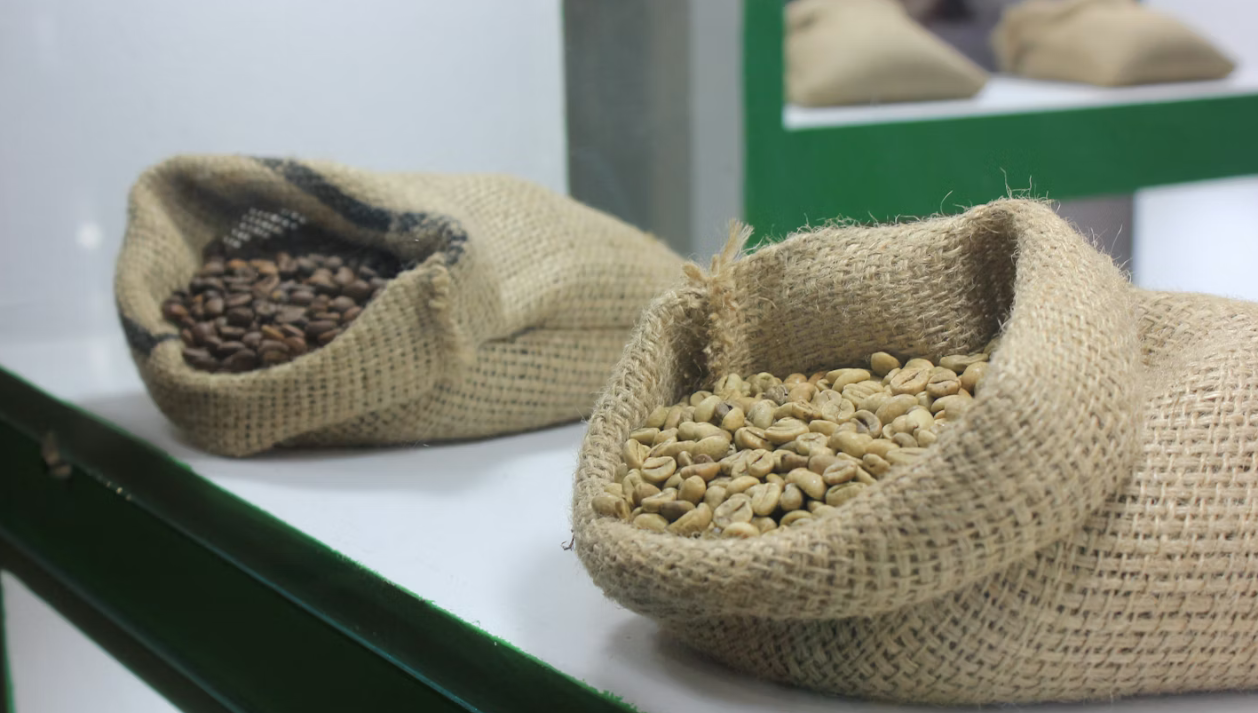 Green Beans Coffee, Why Roasting at Home Is Way Harder Than You Think