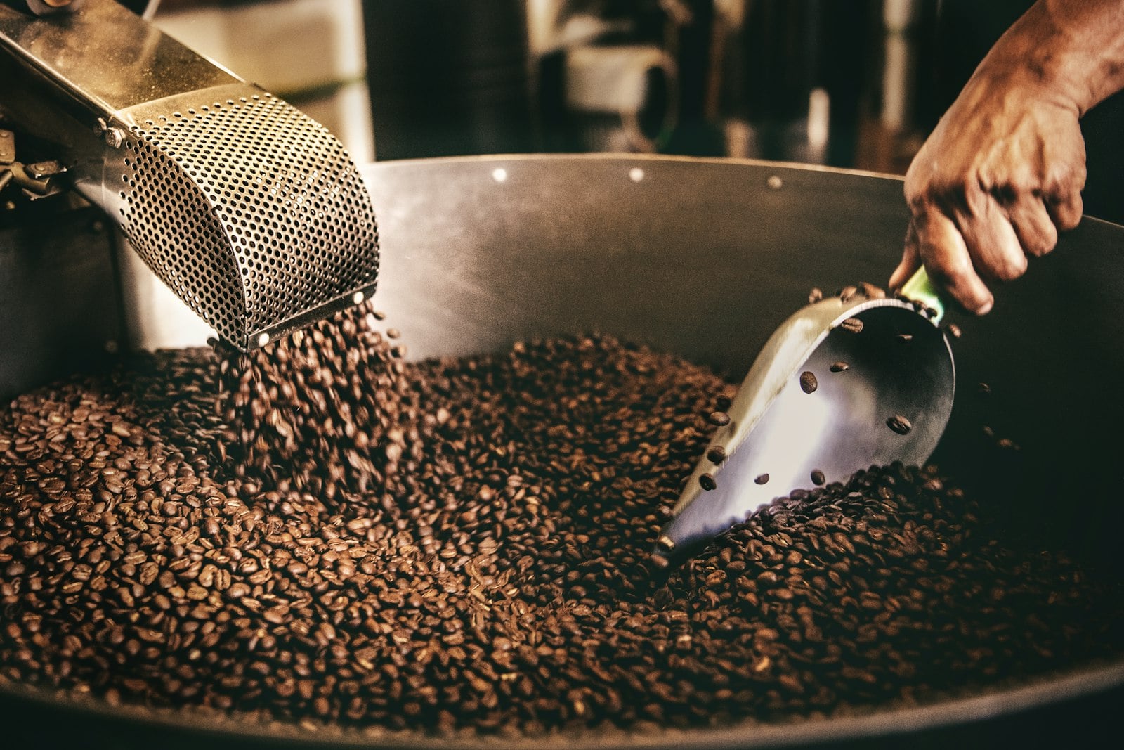 Best Specialty Coffee Companies
