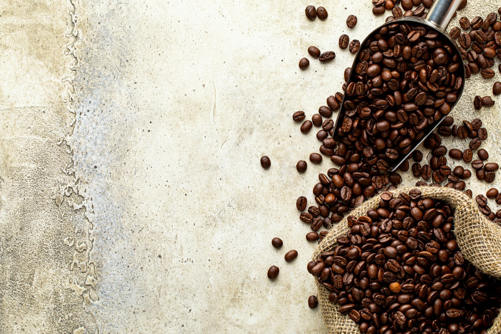 Metal scoop of dark roasted coffee beans beside a burlap sack of coffee beans