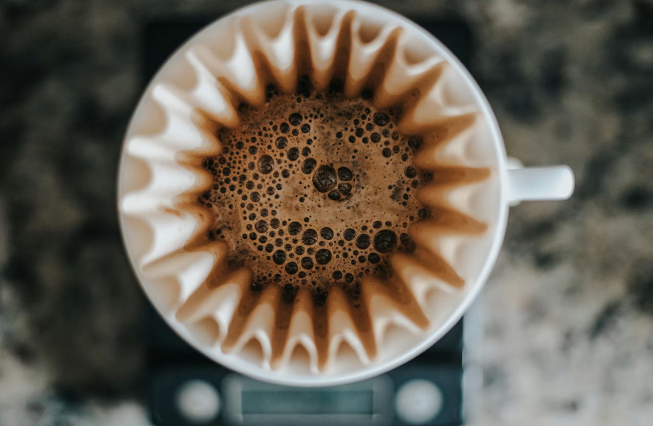 Best Coffee Grinder For Filter Coffee